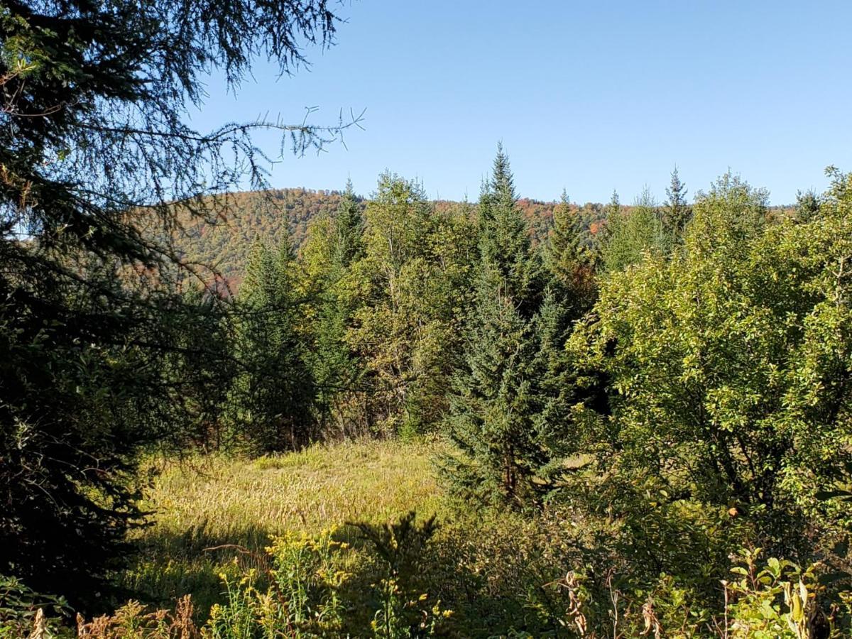 Ladd Pond Cabins And Campground, Llc Colebrook Εξωτερικό φωτογραφία