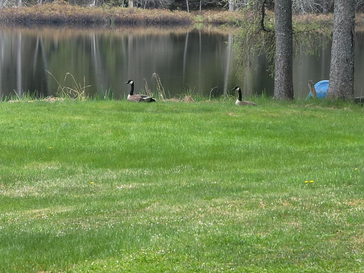 Ladd Pond Cabins And Campground, Llc Colebrook Εξωτερικό φωτογραφία