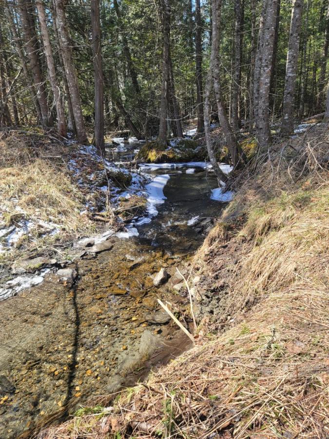 Ladd Pond Cabins And Campground, Llc Colebrook Εξωτερικό φωτογραφία